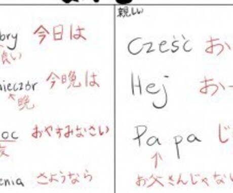 ポーランド語⇄日本語の通訳・翻訳致します ポーランド語⇄日本語の通訳・翻訳致します。 イメージ2