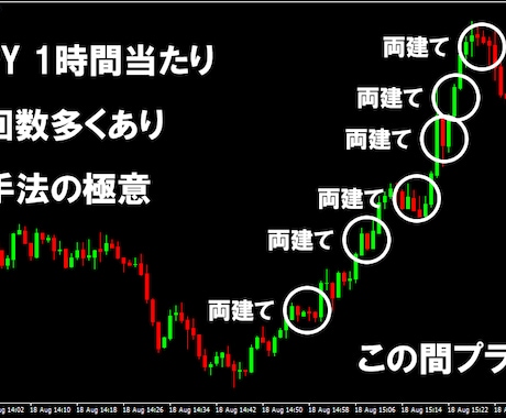FX専業プロの両建て手法をお教えします 5年に渡ってトレードしてきた自信を持ってお勧めする両建て手法 イメージ2