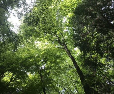 大腸癌克服経験有りですがお話聞きします 年齢性別関係無し！癌の経験、話し合いましょう！ イメージ2