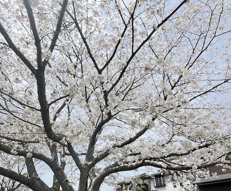 日常の疲れやモヤモヤなどを聴きます 会話で日常のモヤモヤを発散しましょう♡ イメージ1