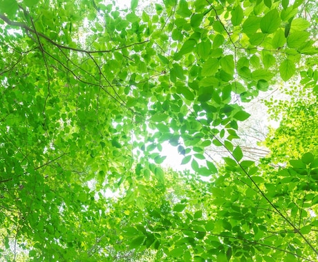 心にためこんでいるものなんでも聞きます ♡これからの事が不安なあなたへ⭐︎話してみませんか イメージ2