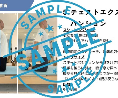 自宅でのトレーニング・ストレッチメニュー作成します エクササイズの解説PDF/動画付き！全力でサポートします！ イメージ2