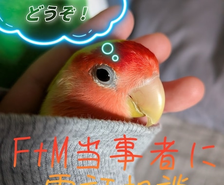 FTM当事者が性別の事を否定せず丸ごと受け止めます 否定しません。FTMの私に、あなたの胸の内を話してみませんか イメージ1
