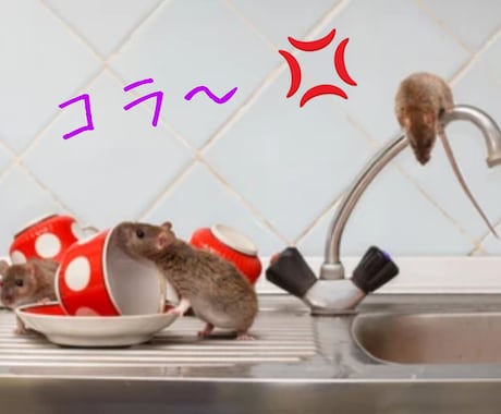 静岡県在住のネズミ駆除業者がアドバイス致します ネズミ被害で悩まれている方、最適な対策方法をお伝えします。 イメージ1