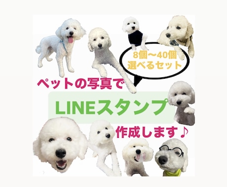 可愛いペットの写真をLINEスタンプにします 可愛いペットの写真を使って可愛いLINEスタンプにします♪ イメージ1