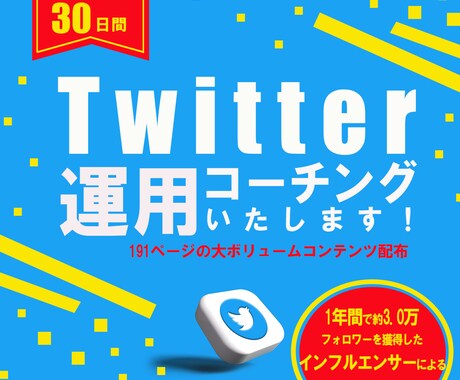 Twitter運用を３０日間コーチングします プロマーケターによるTwitter運用コーチング イメージ1