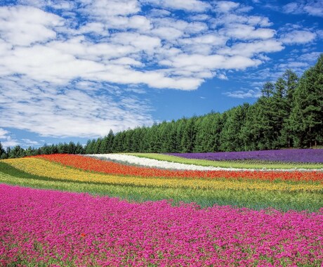 あなたの【潜在意識】【高次元】にチャネリングします ★あなたの本当の声を聴き、目醒めへと導きます☆ イメージ1