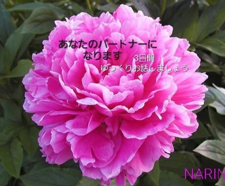 チャットで3日、友達、彼女、何にでもなります なんでも話せる特別なパートナーになりましょう！ イメージ1