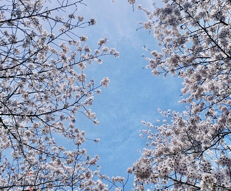 話し相手になります 愚痴聞きます 今日もお疲れ様です(o^^o)心をほぐしていきましょう。 イメージ1