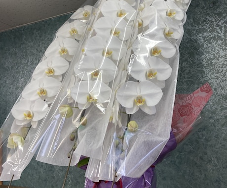 お花に関する相談にのります イメージ1