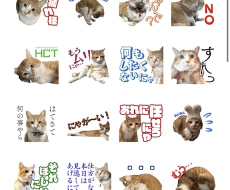 ペットの写真を使って作成します 普段使いから特殊用語まで承ります イメージ2