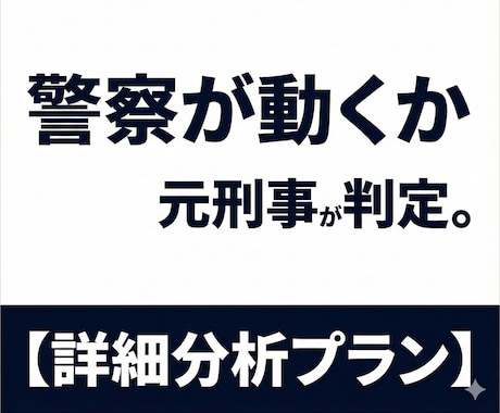 元刑事が被害届受理の可能性を徹底的に分析します 警察の判断基準で事案を分析し【相談内容整理メモ】を作成 イメージ1