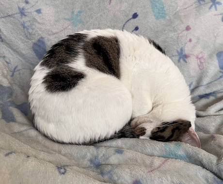 どんな悩みでも丁寧にお聞きします 一人で抱えないで、まず話してみませんか イメージ1