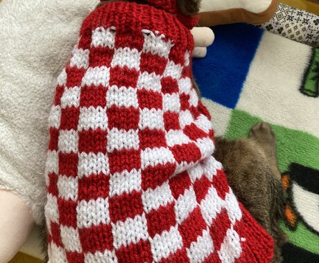 編み物代行してお編みいたします わんちゃん（犬）ネコちゃん（猫）ベビー（赤ちゃん）用ニット イメージ2