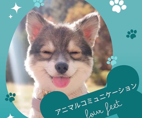 アニマルコミュニケーション　ペットとお話します ペットの本音を聞いて、伝わってきたものをお伝えします。 イメージ1