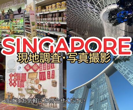シンガポールの現地調査、写真撮影いたします 起業を考えている方など、詳しく現地の様子が知りたい方へ イメージ1