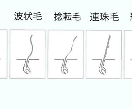 美容師が、ホームカラー選定＆塗り方教えます 今や通販で買えちゃうプロのカラー剤！塗り方、選び方伝授！ イメージ2