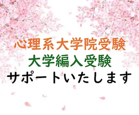 心理系大学院受験／大学編入試験のサポートをします 研究計画書などの書類作成／心理学、英語、統計等の学習サポート イメージ1
