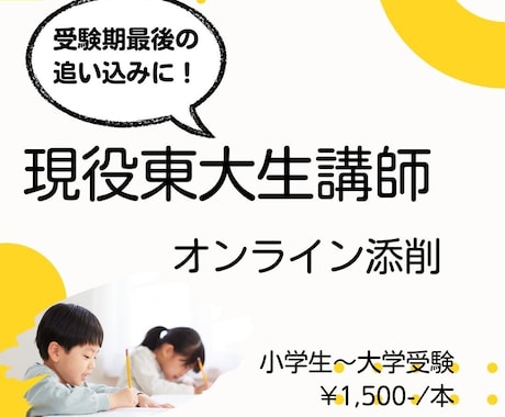 現役東大生が添削します 過去問・志願理由書・小論文　現役東大生が添削！ イメージ1