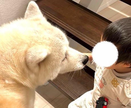 ペットと家族の日常を自然に撮影します スマホだからこそ撮れる、自然な家族の時間を残します イメージ2