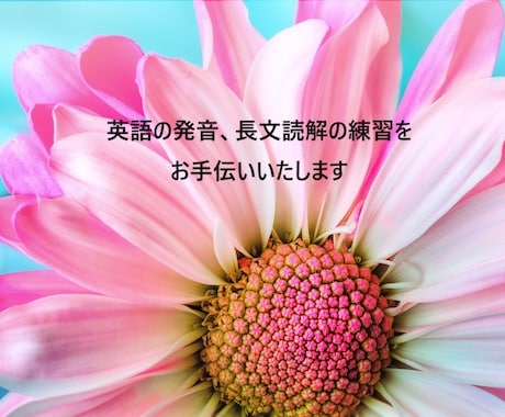 発音練習、長文読解のお手伝いをいたします 英文をスラっと読めるようにしましょう！ イメージ1