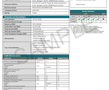 マレーシア企業の企業情報、財務諸表入手できます 会社情報、株主構成、財務状況などが入手できます イメージ1