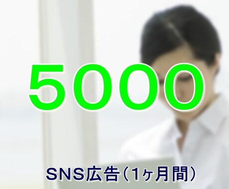 SNS広告５０００円で１ヶ月間、毎日拡散します リニューアルのため、ほかのメニューでお願いいたします！ イメージ1