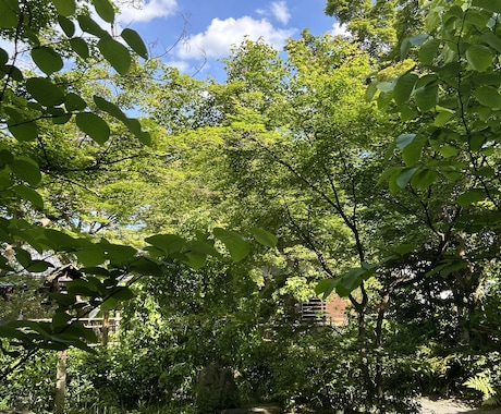 頑張っているあなたの本当の気持ちに寄り添います “大丈夫なふり”を、少し休めませんか？ イメージ2