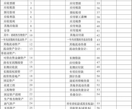 中国会社の財務諸表を日本語に直します 日中両方の経理資格所有者がBS、PLなどを翻訳します イメージ1