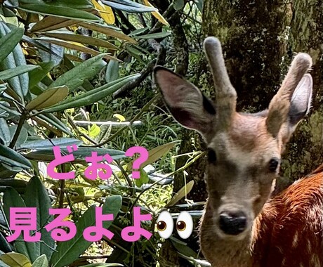 最高の未来に❗️軽めに運命カードひいてみます 軽くで良いから後押し欲しい時にどうですか？^ ^ イメージ1