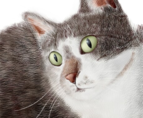 犬猫のイラスト描きます 肌や毛並み含む全ての質感に自信あり イメージ1