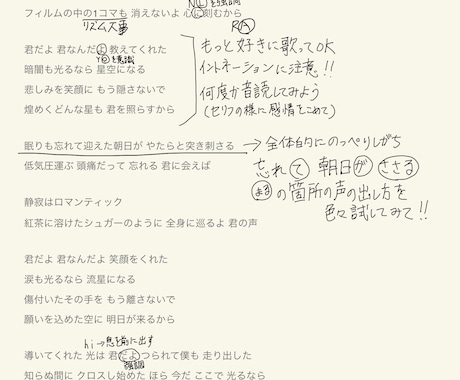 あなたの歌をプロ視点で添削します 実践経験のあるプロがあなたの歌を分析、アドバイスします！ イメージ2