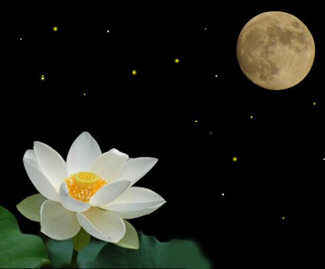 はじめまして様専用、一問一答お試し占いします SAKURA_TAROTのタロット占いを試してみたい方へ。 イメージ1