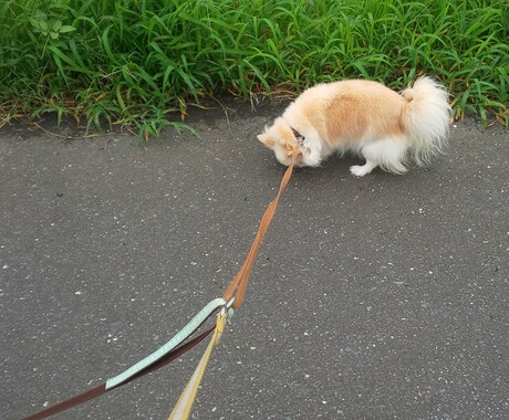 過去のうやむやになっている気になる事を占います 易でビシッと解決。過去で何があったのか知りたい方 イメージ1