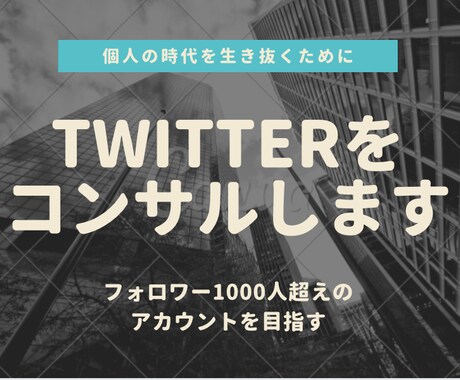 ビジネス向け。Twitter運用をサポートします 個人で稼げるTwitterアカウントを僕と作りましょう！ イメージ1