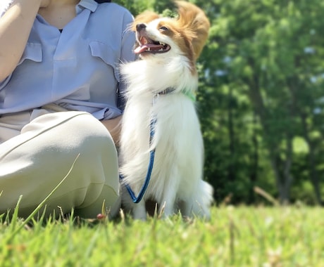ドッグトレーナー、愛玩動物飼養管理士が教えます 楽しくコミュニケーションを取りたい方、お悩み解消したい方必見 イメージ1
