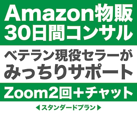 Amazon物販を30日間徹底的に支援します 現役セラー兼Udemyベストセラー講師がサポートします イメージ1