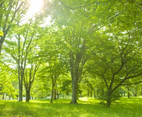 どっちがいい？二者択一でふたつの未来を占います 写真付き☆どっちか迷ったらコレ！アドバイスカードつき。 イメージ1