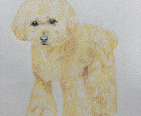 愛犬、愛猫の似顔絵描きます わんにゃんのケア、美容のプロが手がける真心込めた一枚を イメージ2