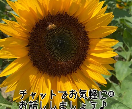 ちょっとした悩みや相談に乗ります 人生は一度っきり⭐︎前向きに楽しみましょう↑ イメージ1