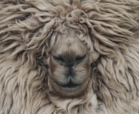 あなたが悩む直近の不安。タロット鑑定にて抹消します まだ、効果の無いタロット鑑定を利用し続けますか？ イメージ1