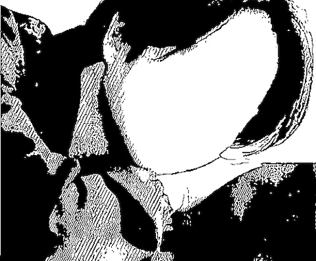 写真を元にイラスト/アイコンにします 好きな写真をイラストに！アイコン、商用利用、コピーOK☆ イメージ2