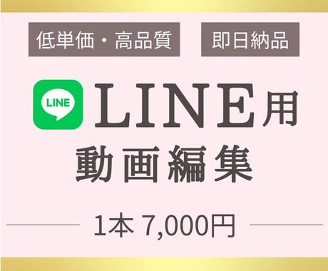 LINE用3分動画を魅力的に編集します 3分くらいのあいさつ動画、プロフィール動画など編集します イメージ1