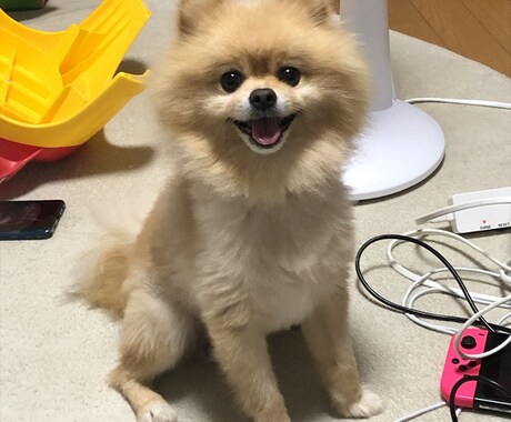 小さな愚痴やただ話きいてほしいだけでもお受けします 友達のような関係でお話しちゃってください！ イメージ2