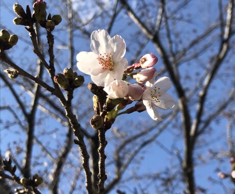お悩み、愚痴、色々聞きます 挫折した経験をもとに親身になってお話を聞きます イメージ1