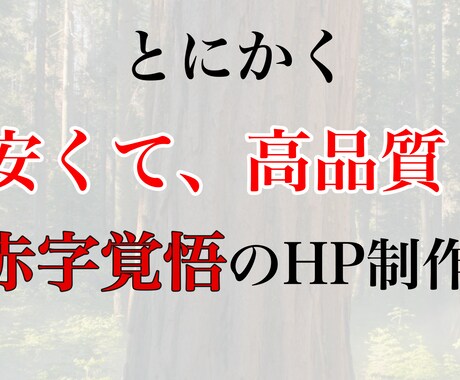 格安で最高品質のホームページ制作します イメージ1