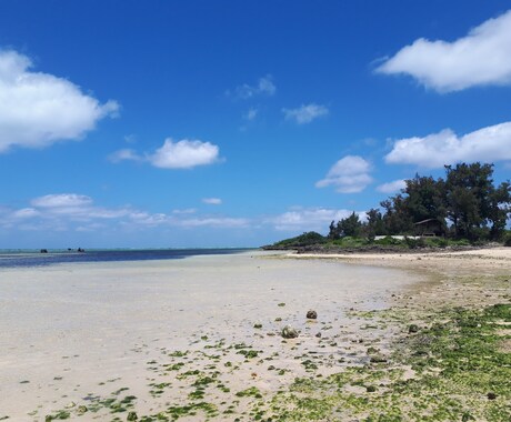 国内、海外旅行を格安でお得に行ける情報を教えます 世界を旅した経験であなたにベストな旅を提案します！！ イメージ1