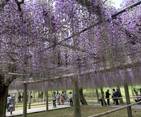 あなたに最適の旅行のプランを一緒に考えます 旅行初心者のあなたの旅行を、最高の思い出に！ イメージ1