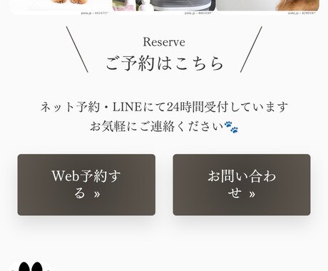 動物病院｜ペットサロン専門LP制作します 信頼され、選ばれ続けるペットサロンへ イメージ2