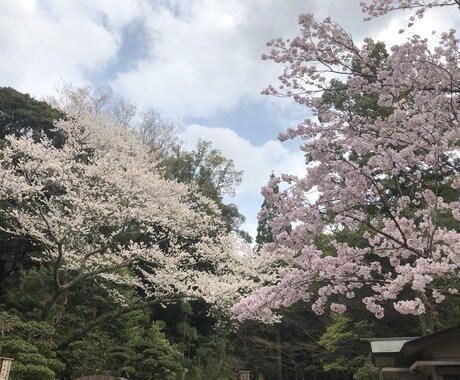 学業なんでもお話し聞きします 一人で抱え込まずお気軽にお声掛けください イメージ1